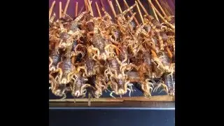 Eating Insects. Scorpions and Cicadas Beijing China