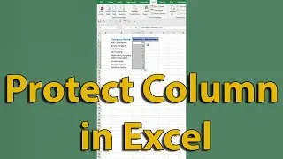 How to Protect Column in Microsoft Excel 2024