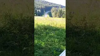 До конца ЛЕТА Осталось 4 Дня
