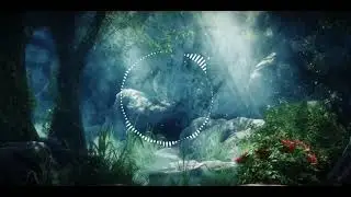 Dima Dunaev - Ou - Music for Maya radioedit