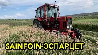 MTZ 82  BELARUS TRACTOR SUMMER 2022