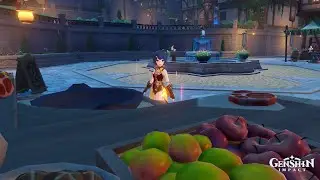 Xiangling Being Idle for 5 Minutes (EN)