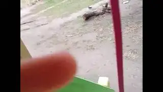 Природа у меня во дворе 😊