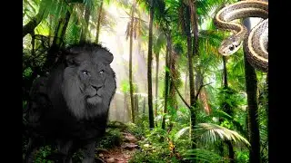 Amazon Jungle || Monster