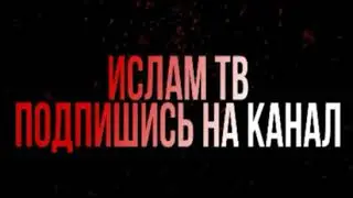 Шайх Пурдил 2020