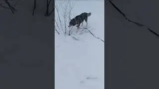 Мои витаминчики, почти как мандаринчики!