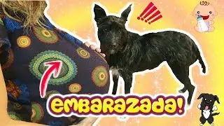 24 Horas EMBARAZADA 👶 ¿Voy a tener un hermano/a? Lana