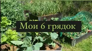 Мой маленький огород 2021