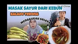 MASAK BALADO TERONG HASIL PETIK DIKEBUN KAKEK BIKIN SELERA MAKAN NAIK