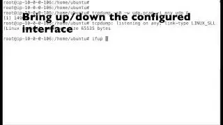 How to capture DHCP packet in linux machine