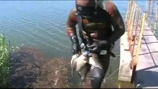 Май-2013 ч.11 Подводная охота на Маныче.