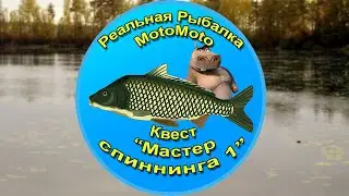 Квест 