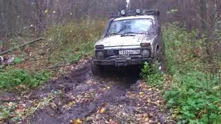 сафари 510 на стоке 2