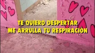 Los Flakos - Descubrirte (Letra) // Lyrics