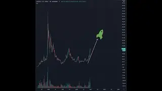 LTC macro  2021 forecast