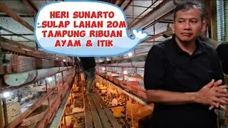 Heri Sunarto Sulap lahan 20 m tampung ribuan ayam & itik#hanikchannel #herisunarto