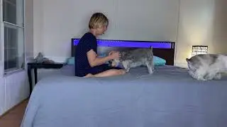 IMG 0406