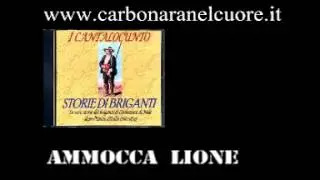 Ammocca Lione