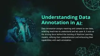 Role of Data Annotation Services in Training Machine Learning Models