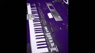 Rammstein - Heirate Mich Keyboard Cover