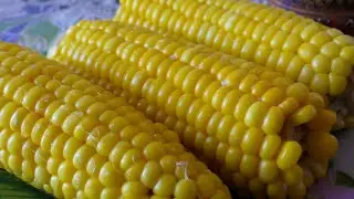 How very tasty to cook CORN