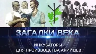 Инкубаторы для производства арийцев