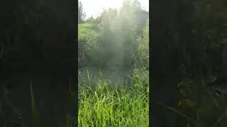 15 июня 2023 г.