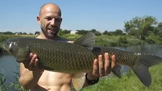 CATCHING OF TROPHY Amur. Video from the archive