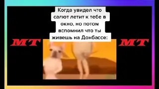 Тик Ток Любит Кообякова | Мемы и Приколы Tik Tok #60