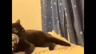 ь.