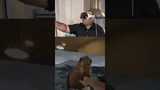 Apple Vision Pro Dinosaur Attack!