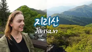 드디어 이곳에 왔다! 대한민국 가장 큰 국립공원에서 또 다른 모험이 시작됩니다⛰️🐻✨