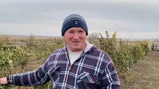 Как сделать продукцию экологически чистой и без химии. Биогумус . Разведение  червей.