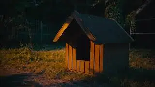 Lumix S5II ISO 51200 Low Light Test
