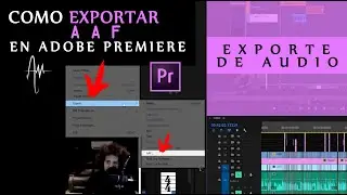 Cómo EXPORTAR un AAF en Adobe Premiere Pro | Exportando para edición de audio