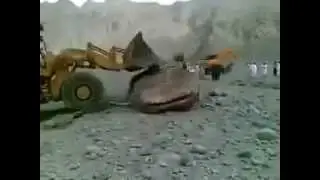Огромный сом мутант.-The huge catfish mutant.