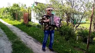 Игра на гармони/каким ты был таким ты и остался/