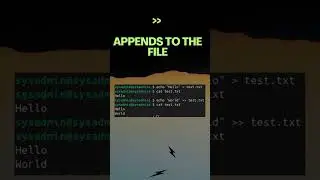 Linux Bash Tutorial: Overwrite, Replace or Append? How to Choose