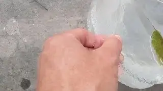 Где кошки пьют воду зимой на улице