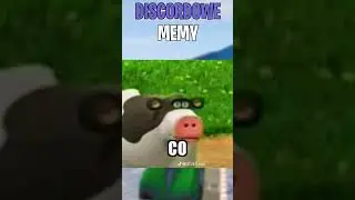 SZYBKIE memy! (discordowe memy) 
