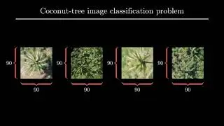 Learning CNN filters from user-drawn image markers for coconut-tree image classification