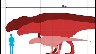 Giant Growth: Mapusaurus Was The Fastest-Growing Megatheropod?