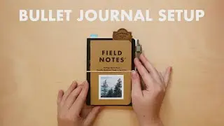 how i use my bullet journal ✸ mid year update + new setup 🌟