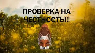 Проверка на честность|•wild craft