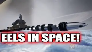 Robot Space Eels Are Real!