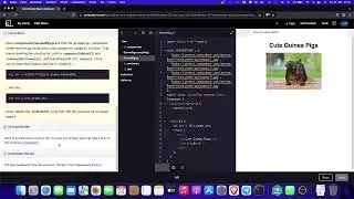Codecademy Shitty Programming on React
