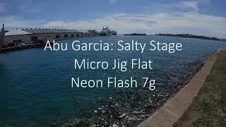 MicroJigging with Ajing Rod