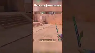 #стандоффчит