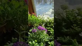 Октябрь уж наступил...