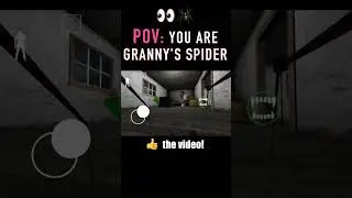 Is this what the world looks like as Granny's spider? 🕷️👀 